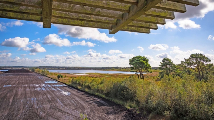 Nordpfad Huvenhoopsmoor auf dem Moorturm