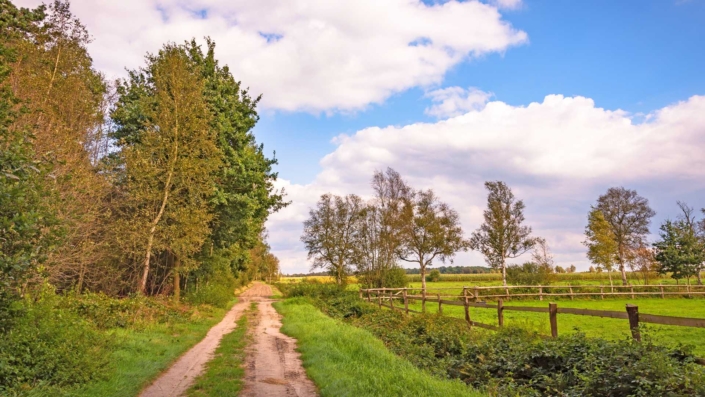 Nordpfade wandern in Gnarrenburg