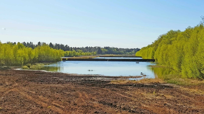 Nordpfade wandern in Gnarrenburg