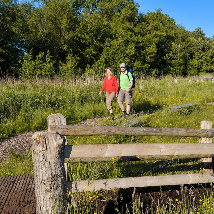 Aktiv unterwegs. Zwei Wanderer auf dem Nordpfad Huvenhoopsmoor auf dem Moorerlebnispfad in Augustendorf in Gnarrenburg