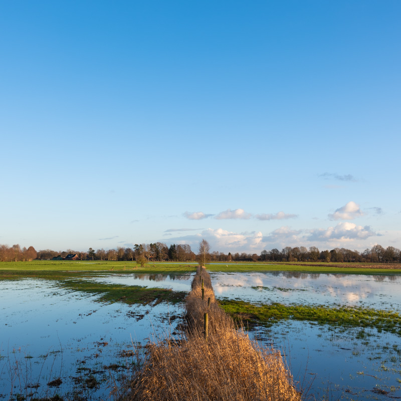 Überschwemmte Moorlandschaft vor blauem Himmel und einzelnen kleinen Wolken