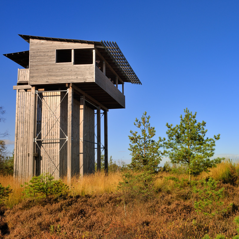 Moorturm Huvenhoopsmoor Forstort-Anfang