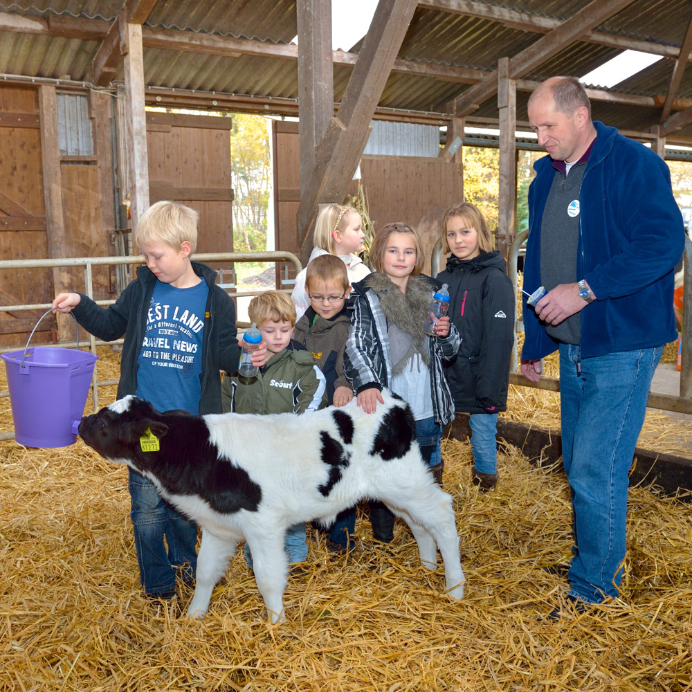 Kinder im Bauernhofklassenzimmer Milchhof Kück