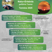 Frauke Klemme Gästeführungen 2025